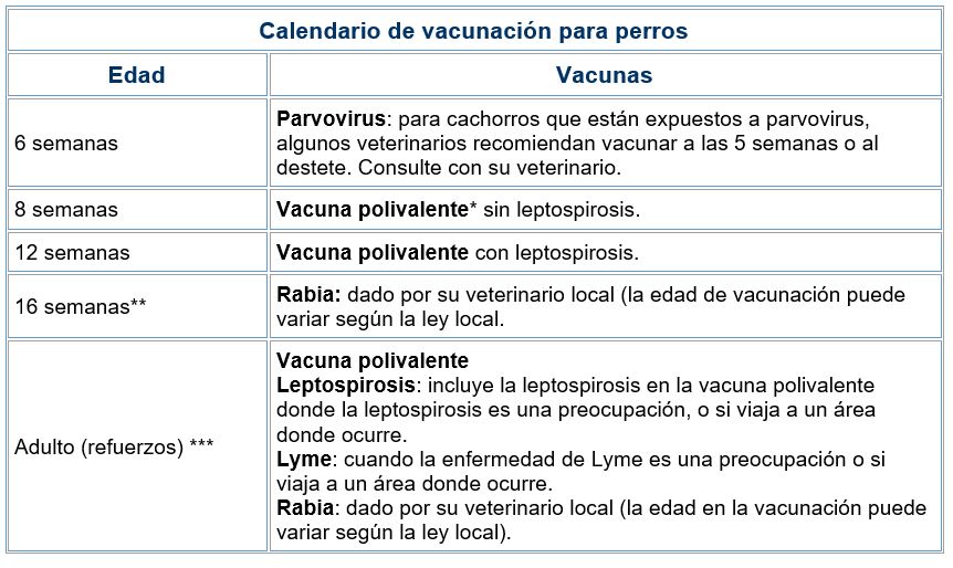 Calendario de vacunas para perros