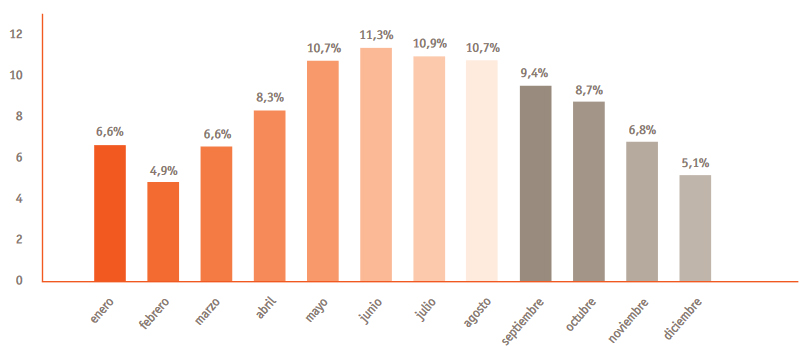mascotas abandonadas meses gatos